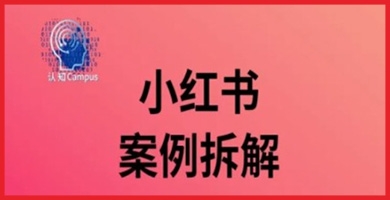 小红书40万粉丝赚钱秘籍：案例拆解实讲，深度探究内容涨粉与变现技巧！