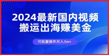 【创业好项目】国内视频批量搬运出海新策略，2024年月入3万美金无忧！