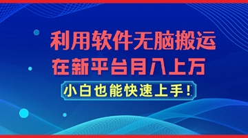 【创业好项目】利用软件无脑搬运，在新平台月入上万，小白也能快速上手