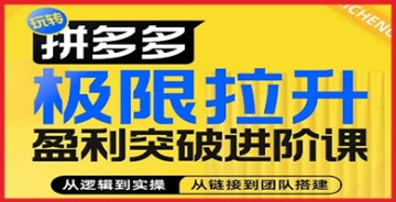 【创业好项目】拼多多财富加速器：精研算法原理，洞悉玩法精髓，组建高效团队，快速提升商家利润！