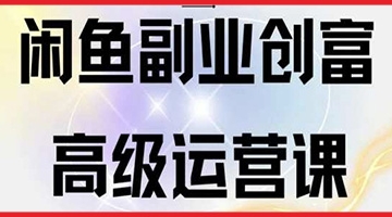 【创业好项目】闲鱼电商运营高级课程，一部手机学会闲鱼开店赚钱