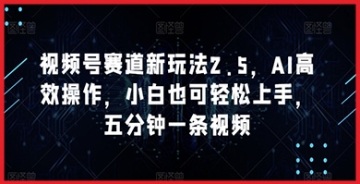 【创业好项目】AI引领下的视频创作革命：视频号赛道新玩法2.5，高效操作助你创作更精彩！