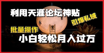 【创业好项目】从天涯论坛神贴到私域流量爆发，批量操作的实战技巧全面讲解