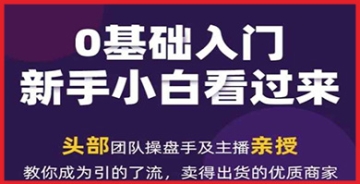 【创业好项目】视频号新媒体流量变现大揭秘：2024运营笔记带你成为引流能手，实现售卖爆发的优质商家