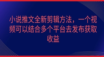 【创业好项目】小说推文全新剪辑方法，一个视频可以结合多个平台去发布获取