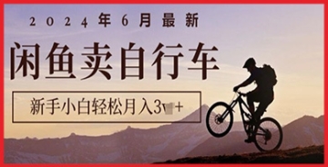 【创业好项目】别再错过赚钱机会！2024年6月闲鱼自行车买卖秘籍，无风险操作流程全解析！