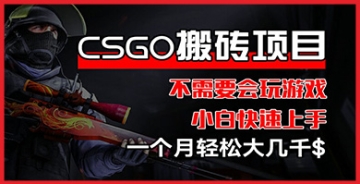 【创业好项目】小白也能上手的CSGO装备搬砖：操作简单，无需游戏技能，月入大几千不是梦