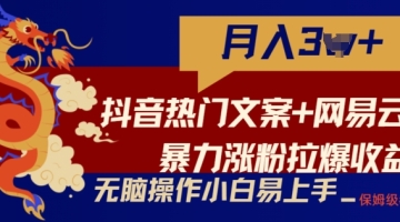 【创业好项目】抖音热门文案+网易云截图暴力涨粉拉爆收益玩法，小白无脑操作，简单易