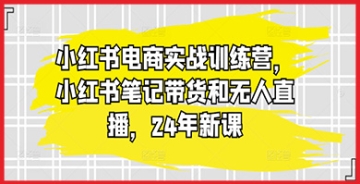 【创业好项目】小红书笔记带货和无人直播：小红书电商实战训练营教你打造独具魅力的精准营销策略