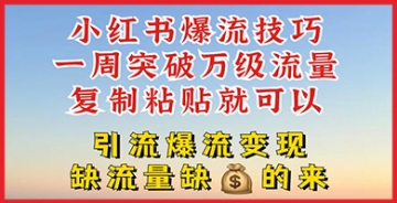 【创业好项目】小红书爆流技巧，一周突破万级流量，复制粘贴就可以，引流爆流变现