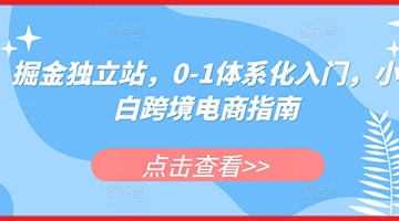 【创业好项目】掘金独立站，0-1体系化入门，小白跨境电商指南