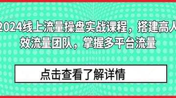 【创业好项目】2024线上流量操盘实战课程，搭建高人效流量团队，掌握多平台流量