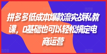 【创业好项目】零基础也能玩转电商运营！加入拼多多低成本爆款流实战私教课，轻松打造畅销商品。