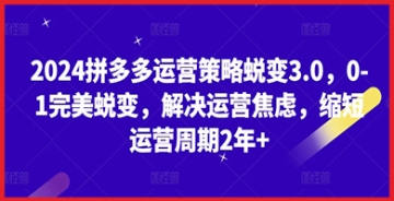 【创业好项目】拼多多运营策略巅峰之路：2024蜕变3.0解决店铺运营焦虑，成就超快速运营店铺周期缩短2年+！