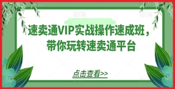 【创业好项目】速卖通VIP实战操作速成班：解锁速卖通平台财富密码，用实操技能打造跨境电商新辉煌