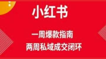 【创业好项目】爆款小红书免费流量体系课程(两周变现)，小红书电商教程