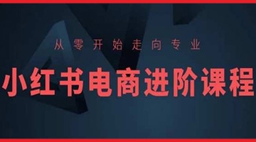 【创业好项目】从零开始走向专业，小红书电商进阶课程