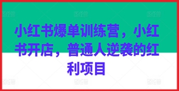 【创业好项目】想要抓住小红书开店的红利项目？加入小红书爆单训练营，普通人开启赚钱之路！