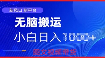 【创业好项目】京东视频图文搬运带货项目：蓝海赛道小白的福音，每天一小时轻松获取收益