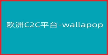 【创业好项目】Wallapop-Kim跨境电商教程：全面解析在欧洲C2C平台上实现销量增长的策略