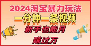 【创业好项目】揭秘2024淘宝新手月赚过万的高效盈利模式：一分钟视频制作与收益增长技巧