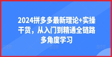 【创业好项目】拼多多最新理论与实操干货解析：2024年入门到精通的全面学习计划！