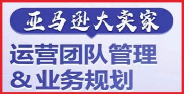 【创业好项目】从亚马逊大卖家那里学习：如何进行高效的运营团队管理和业务规划，以打造超强实力的团队！