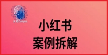 小红书40万粉丝赚钱秘籍：案例拆解实讲，深度探究内容涨粉与变现技巧！