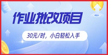 【创业好项目】教育领域的新机遇：成为在线作业批改专家，实现财务自由！