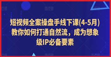 【创业好项目】短视频流量与IP的双重跃升：全案操盘线下课，揭秘想象级IP成长的秘密武器