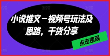 【创业好项目】小说推文新视角：视频号玩法与赚钱思路深度解读，干货分享助你成为推文达人！