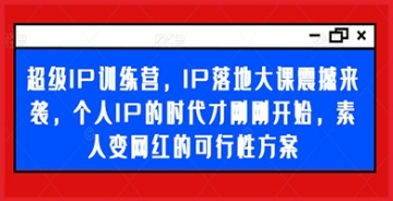 【创业好项目】想要在数字时代崭露头角？超级IP训练营将教你如何从素人变成网红，并打造独特个人IP