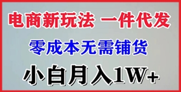 【创业好项目】小白月入1万+的电商新策略，一件代发零成本，轻松实现赚钱梦想！