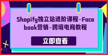 【创业好项目】Shopify独立站进阶课程指南：利用Facebook营销提升跨境电商业绩的终极教程