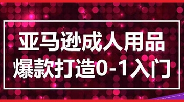 【创业好项目】亚马逊成人用品爆款打造0-1入门，系统化讲解亚马逊成人用品爆款打造的流程