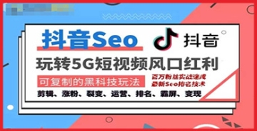 【创业好项目】抖音SEO引流培训课程-抓住抖音风口，实现搜索排名，获取精准流量，快速成交变现