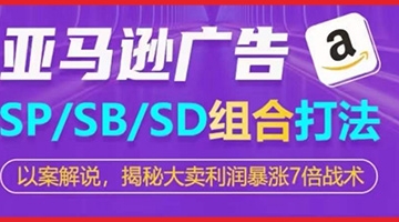 【创业好项目】亚马逊SP/SB/SD广告组合打法，揭秘大卖利润暴涨7倍战术