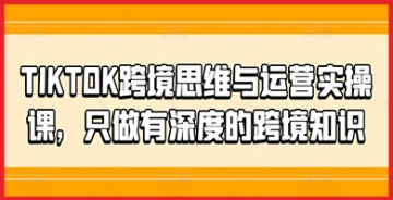 TIKTOK跨境策略全指南：逐一剖析跨境思维与运营实操，专授有深度的跨境知识！