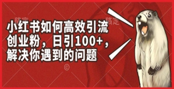 【创业好项目】小红书引流创业粉丝的最佳方法，日引100+，助你解决引流中的所有问题